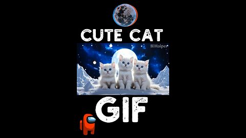 Cute Cat Gif