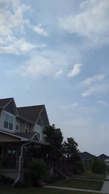 More Military Heilos WWG1WGA