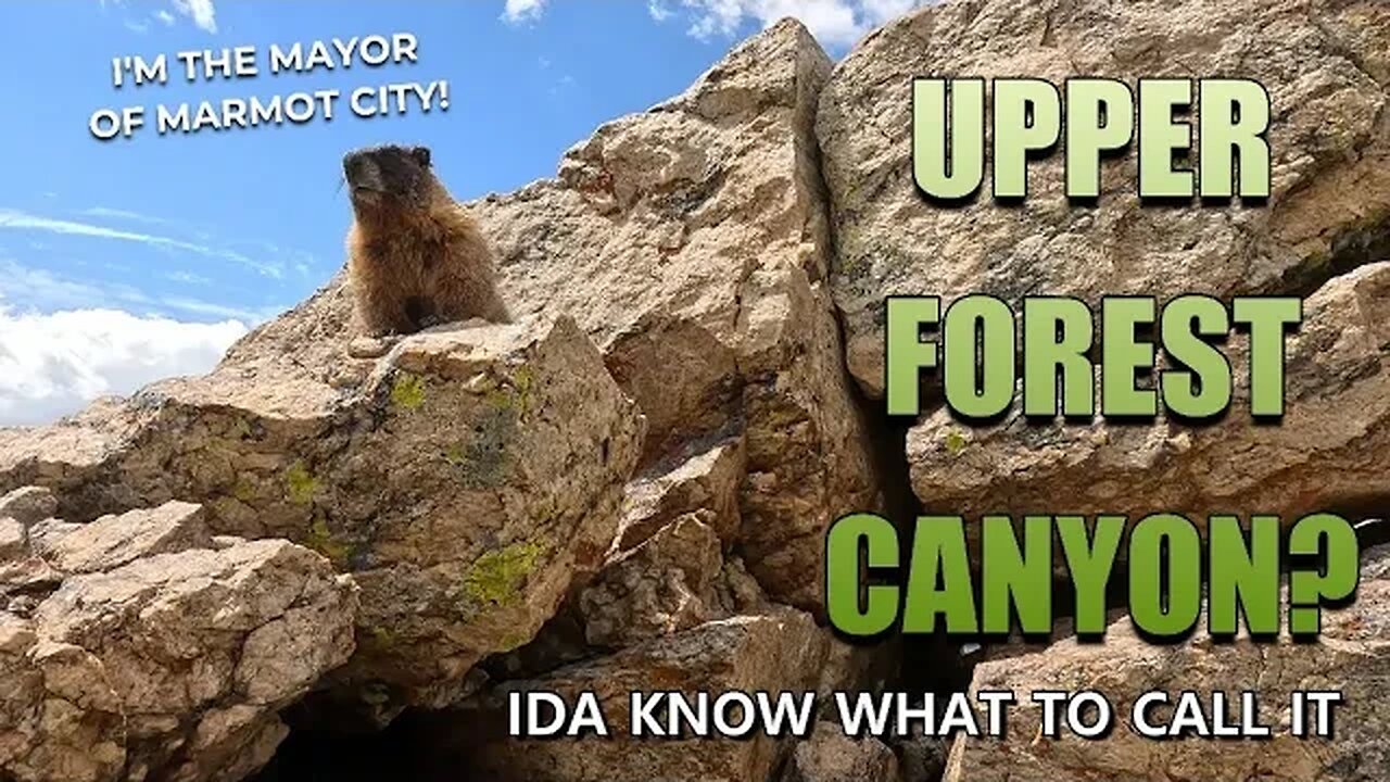 Upper Forest Canyon? [Ida know what to call it] - Rocky Mountain National Park