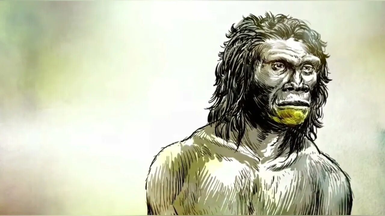 The Human Evolution National Geographic Education