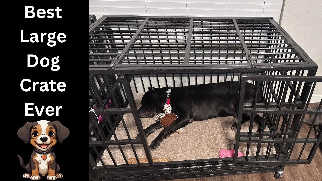 The Best Large Dog Crate for the money