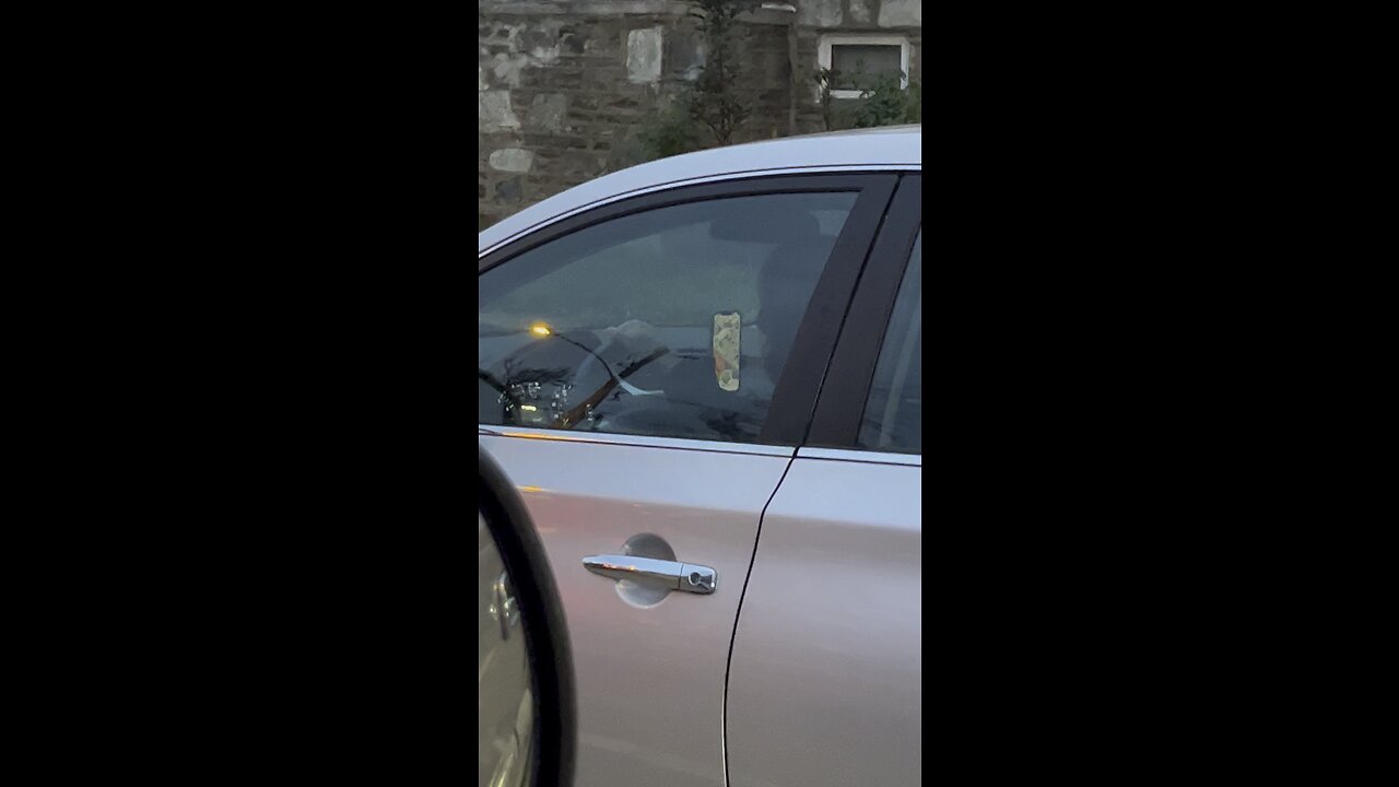 Asian people love playing clash royal even when they driving