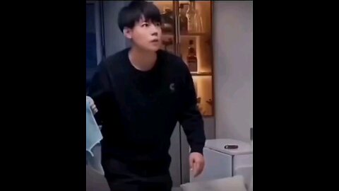 funny videos