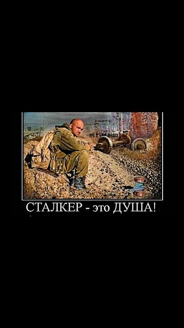 СТАЛКЕР - это ДУША! #shorts #demotivator