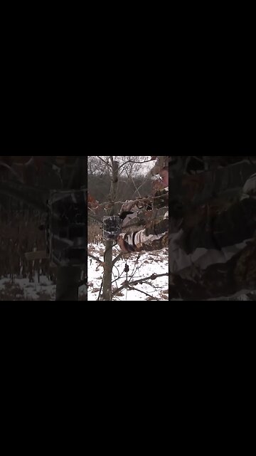 Low impact in the late season #shorts #deer #deerhunting