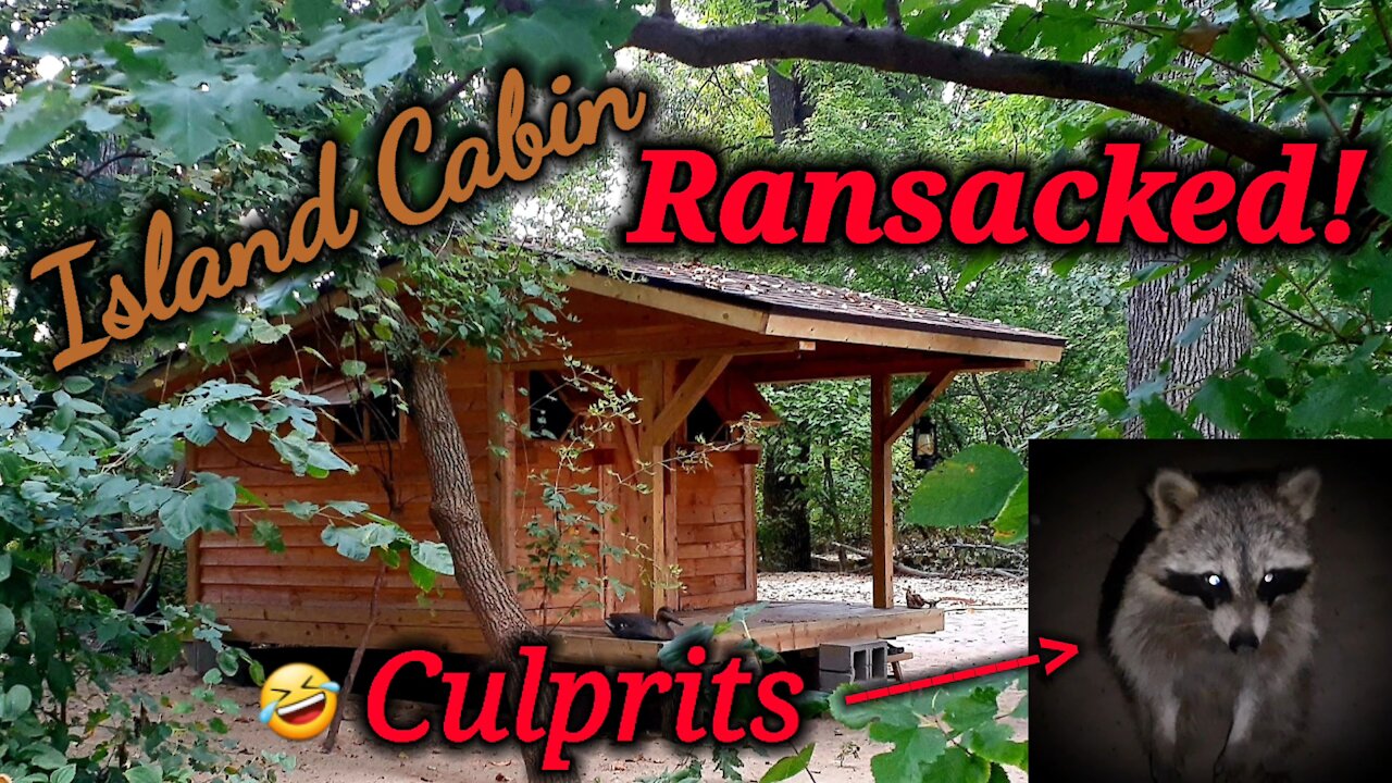 Island Cabin....Ransacked!🤣 by our little raccoon Neighbors