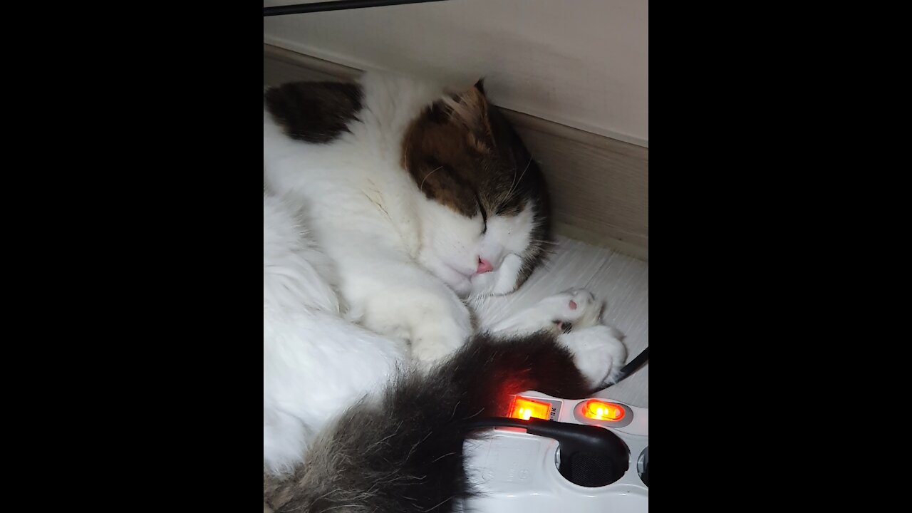 a sleepy touch