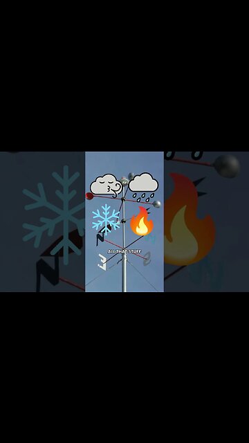 Sports Bettors NEED To Stop Overlooking THIS Factor! #sportsbetting #sports