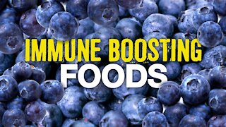 Benefits of Blueberries | Immune Boosting Foods