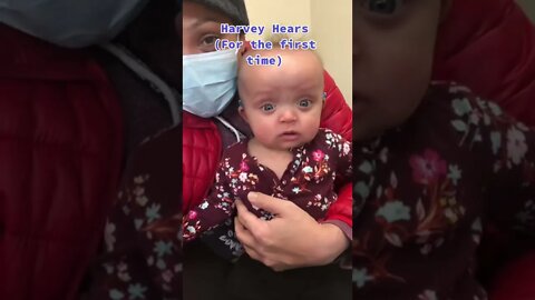 Harvey Hears for the first time Video By cocomochachino