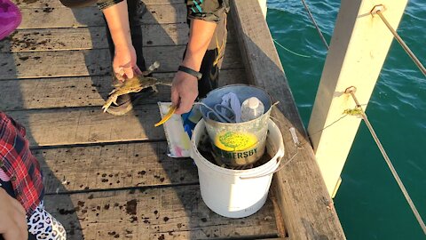 Catching Crabs in the beach 🔥🔥🔥