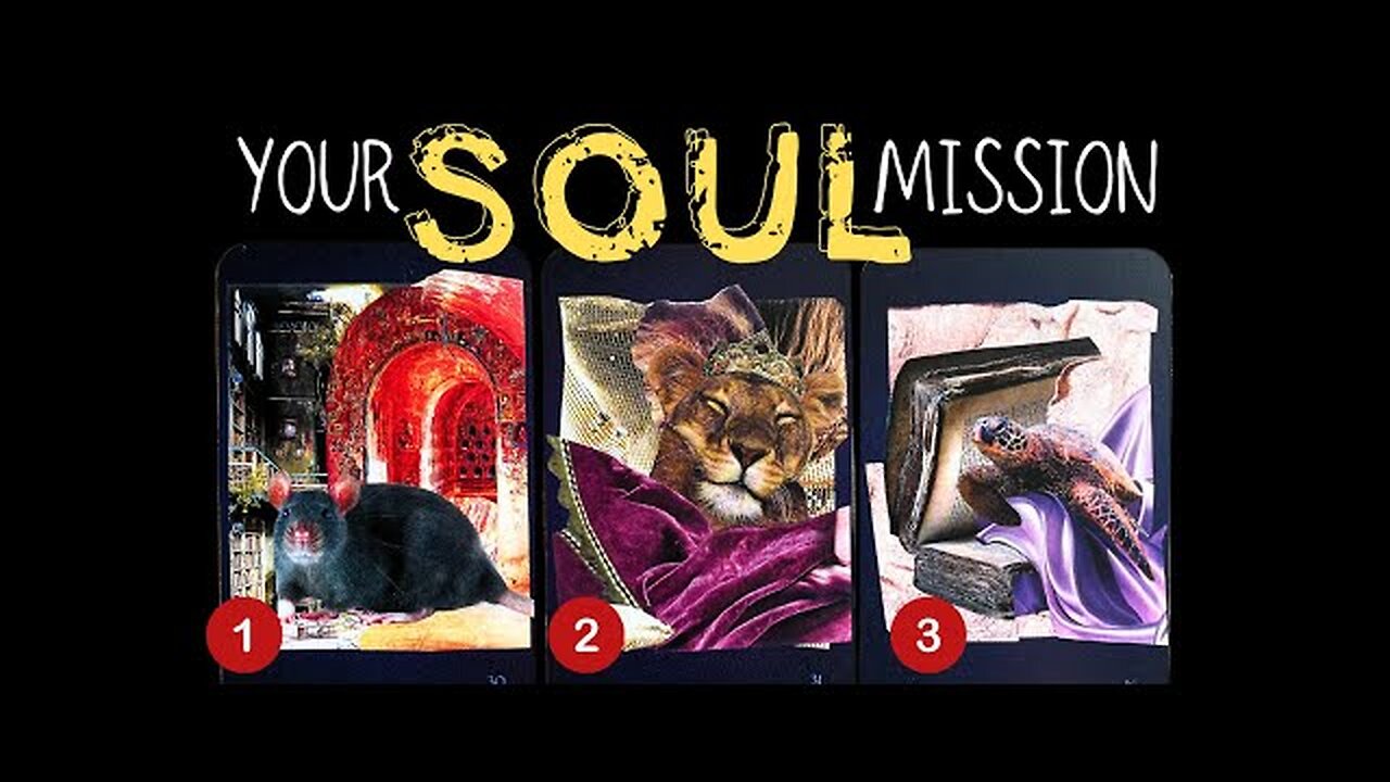 💥Your HIGHEST Soul Mission?✨🌏🕯️⭐️✨PICK A CARD 🃏