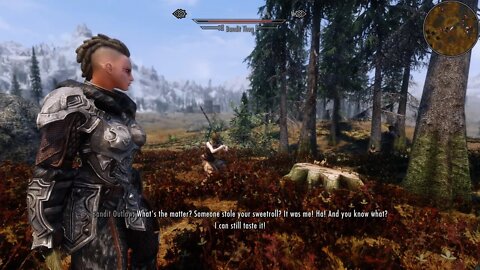 Skyrim SE Mods PC - Chatty Bandits