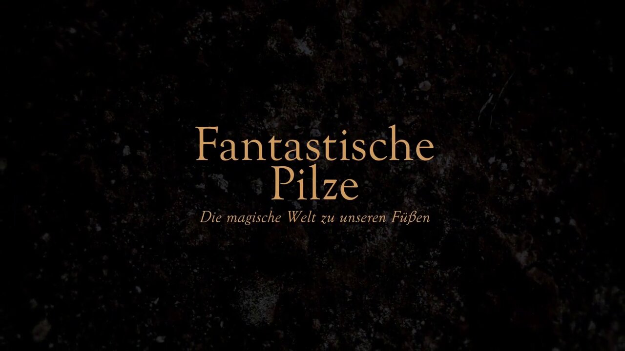 Fantastische Pilze Doku