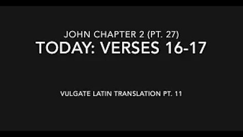 John Ch 2 Pt 27 Verses 16–17 (Vulgate 11)