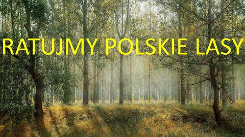 RATUJMY POLSKIE LASY!