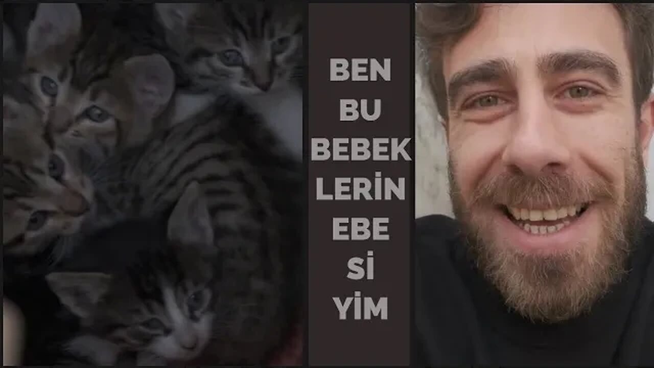 Benim Hayvan Sevgimi Sorgulayamazsın!