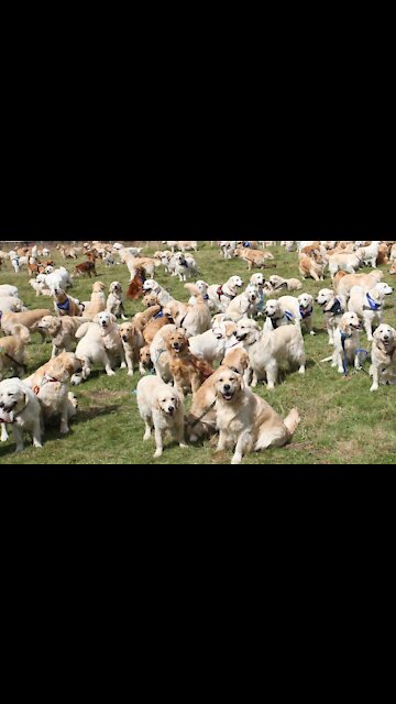 How many can you count?😱😄