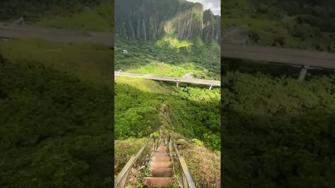 Amazing View TikTok maximiili