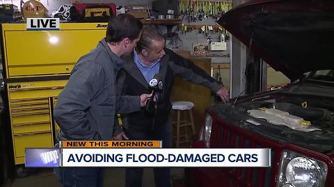 Flood-damaged cars could be headed to Michigan, here's what to look for