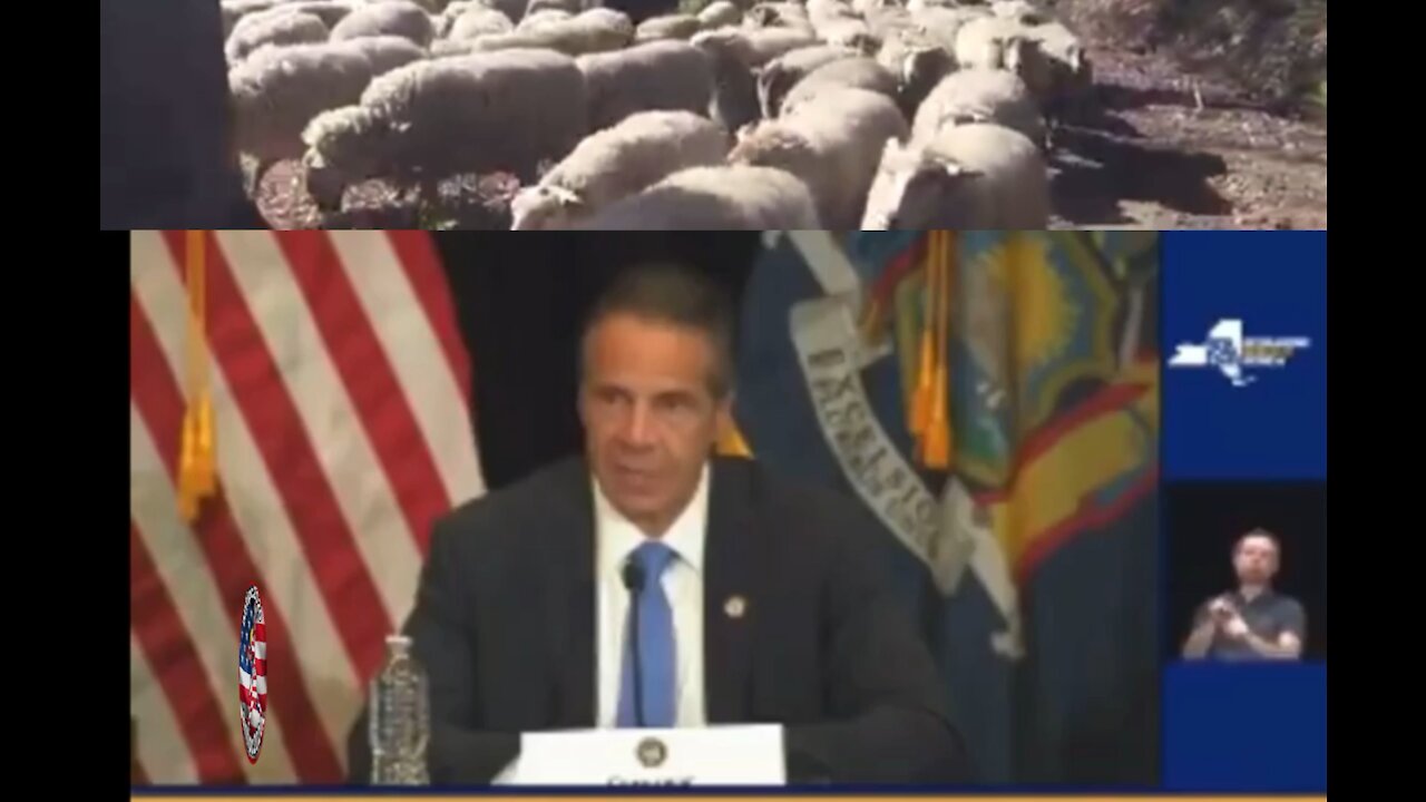 Cuomo rounding up the sheeple