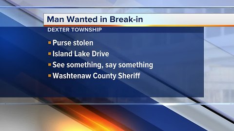 Suspect wanted for entering open garage door, stealing purse from occupied Washtenaw County home