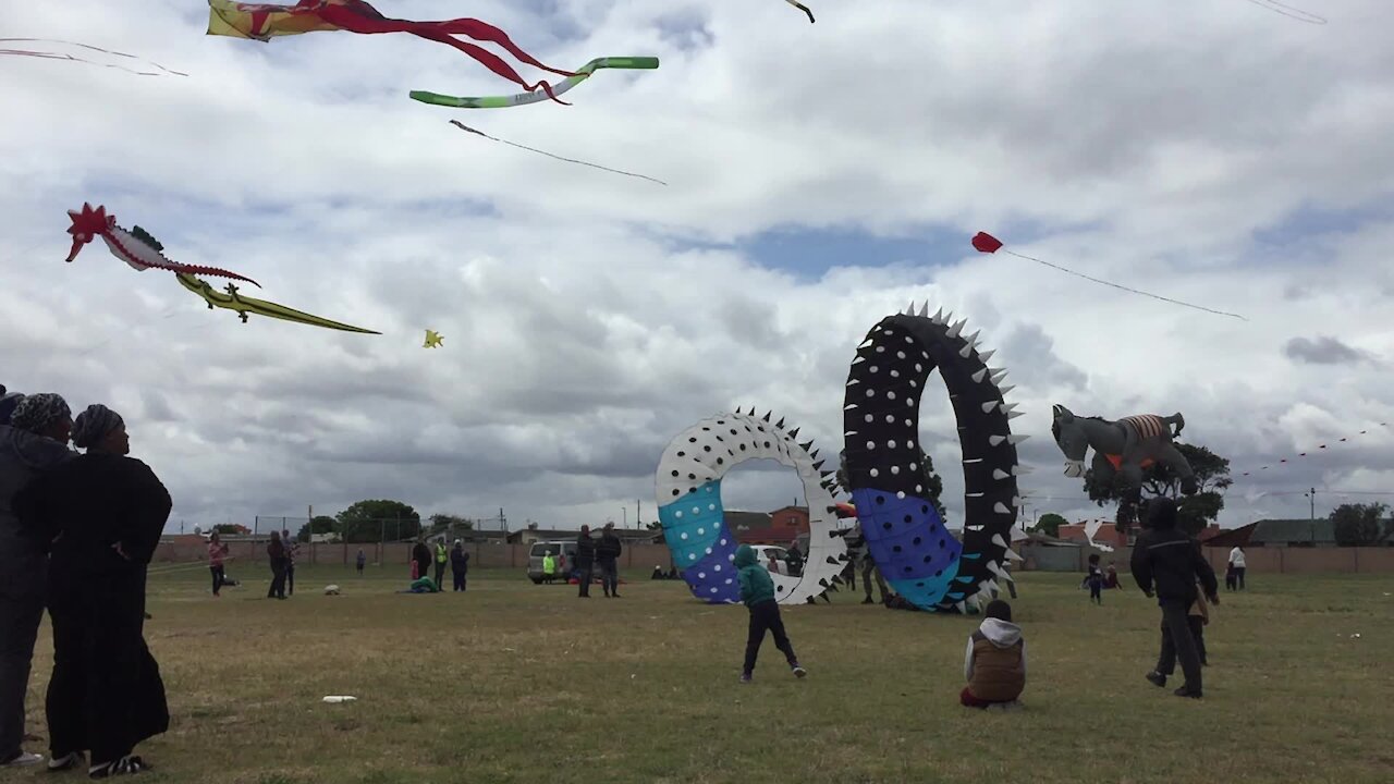 SOUTH AFRICA - Cape Town - Stock - Kites (Video) (gej)