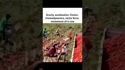 Gravity ecceleration friction Thermodynamic Vector to Momentum All in One