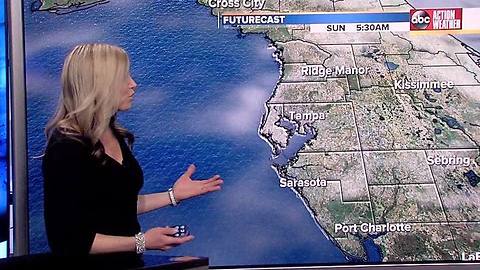 Action Weather Forecast