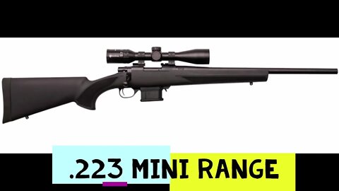 Howa 223 20in barrel