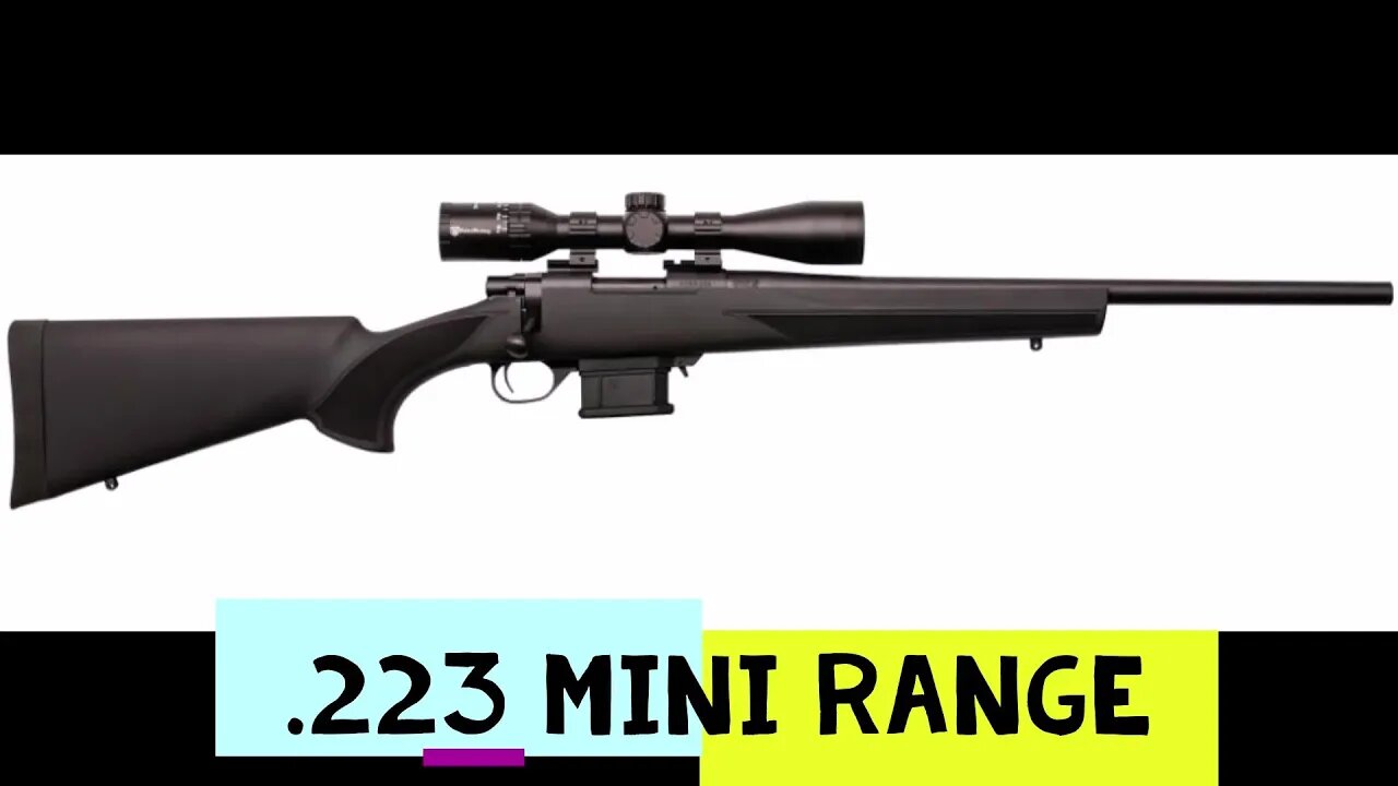 Howa 223 20in barrel