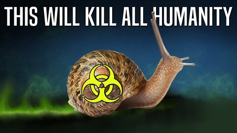 That’s Why Snails Kill 200,000 People Yearly