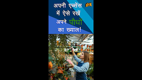 वेकेशन के समय पौधो को जीवित और खुश कैसे रखे