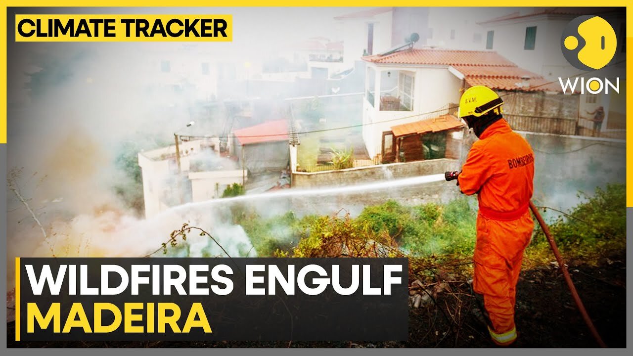 Portuguese Island of Madeira battles Wildfires | WION Climate Tracker