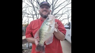 How to catch winter crappie fishing, big crappie, bridge fishing crappie