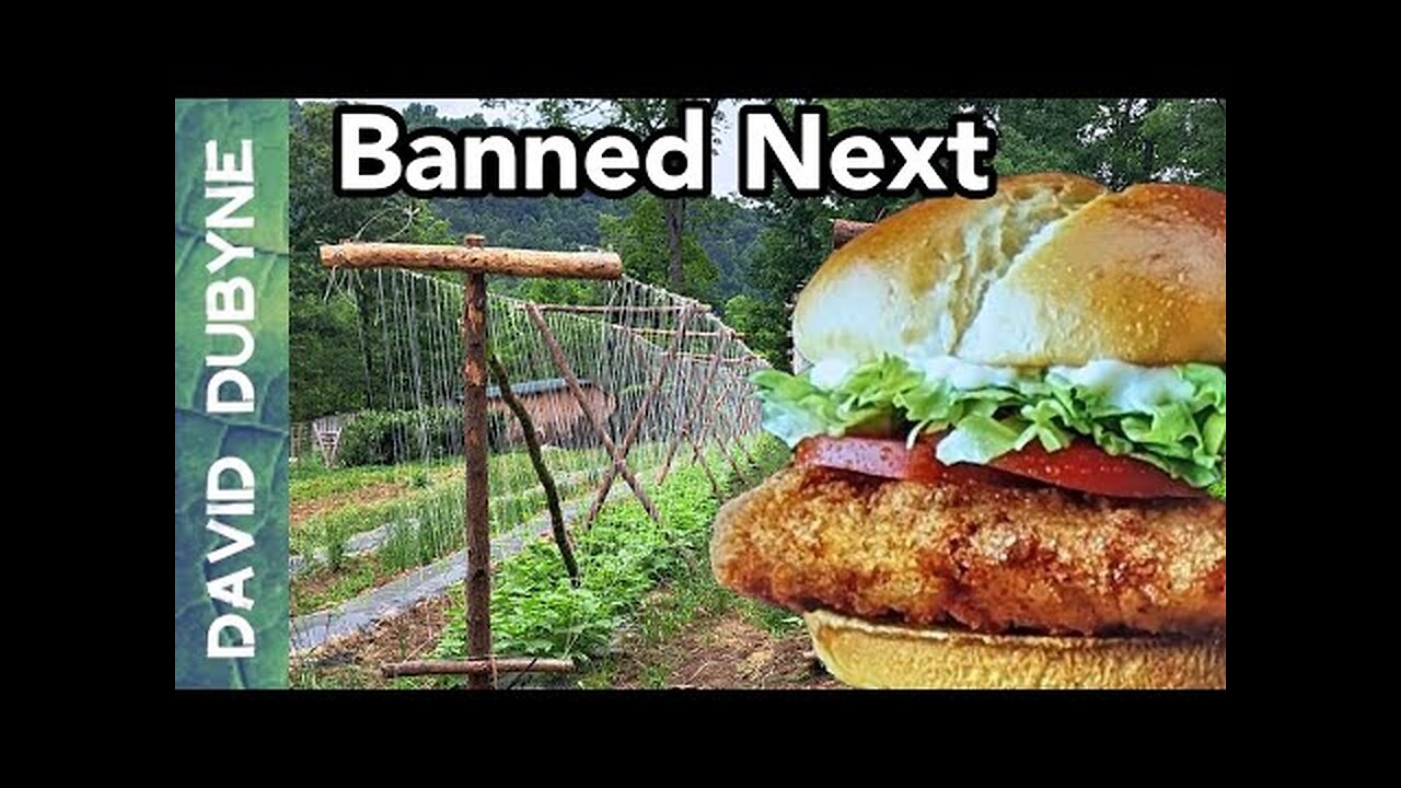 Which Foods Will Be Banned Next?