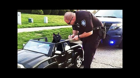 WORLD BEST FUNNIEST🤣 Dog vs men 🤣 funny video> Don't Try Laughing 🤣 clips