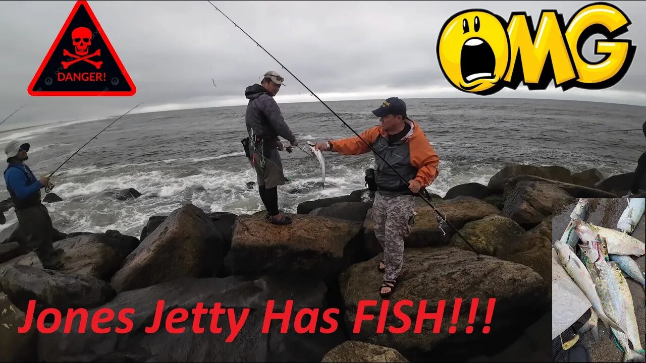 🚨🚨Spanish Mackerel at Jones Jetty!!! **DANGER** August 29, 2023