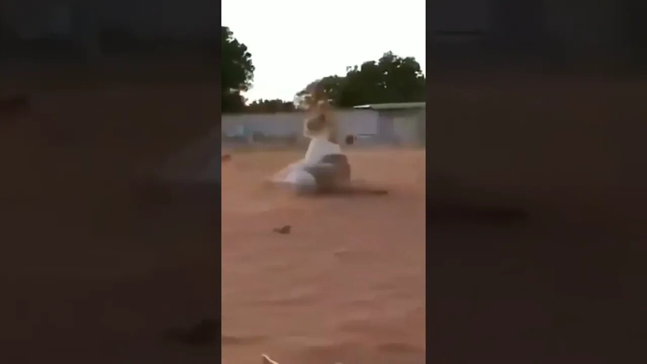 #Funnyanimals😀😀 why?