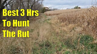 Best 3 Hours to Hunt the Rut - WI Public Land Bowhunt 2020