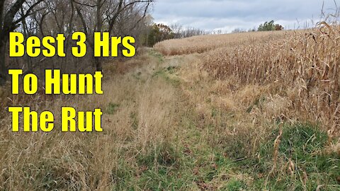 Best 3 Hours to Hunt the Rut - WI Public Land Bowhunt 2020