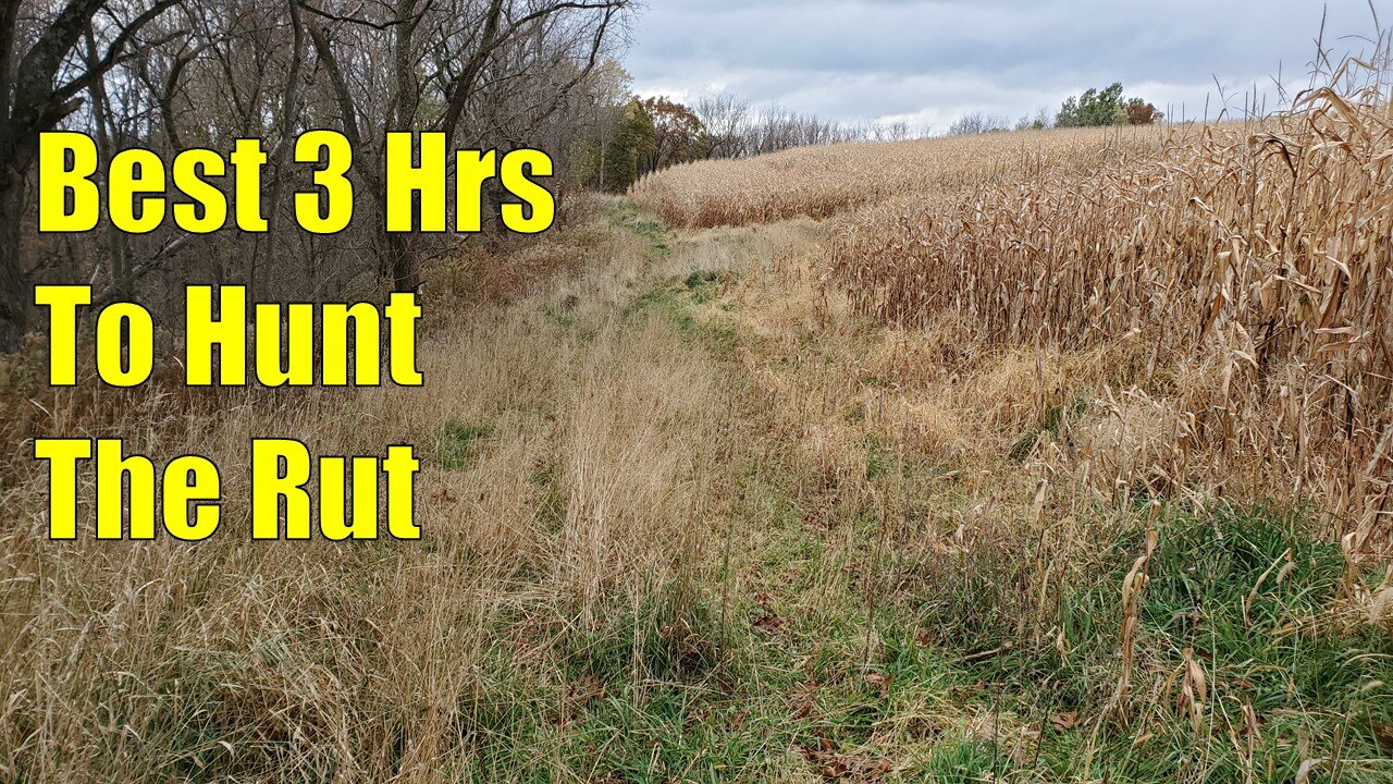 Best 3 Hours to Hunt the Rut - WI Public Land Bowhunt 2020