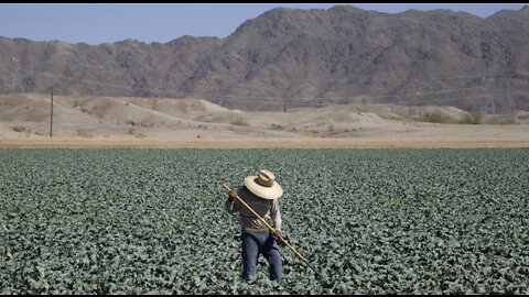 US farmers hit by chemical shortages – Reuters — RT Business News