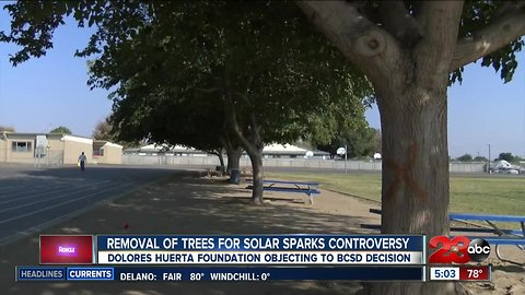 Removal of trees for solar sparks controversy