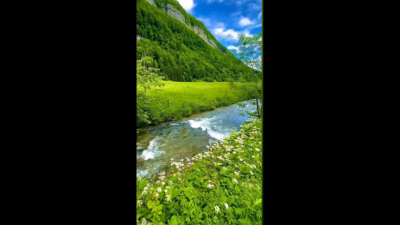 real sound with beauty of nature