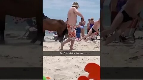 Don't Touch The Horses