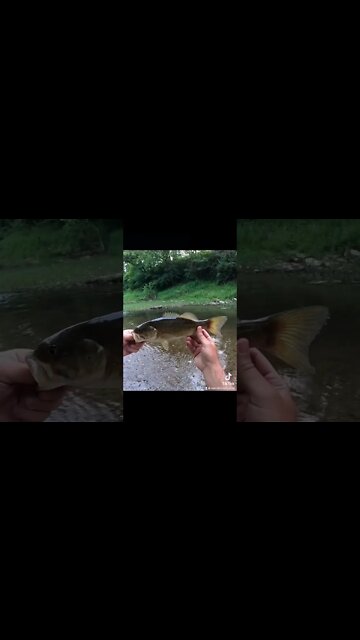 Fishing, snakes and clams???