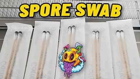 How To Make A Spore Swab (My First Time)