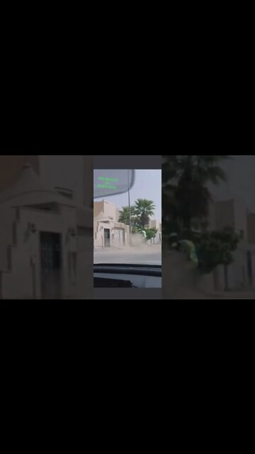 SHORT DAY: ENTREGA A JATO