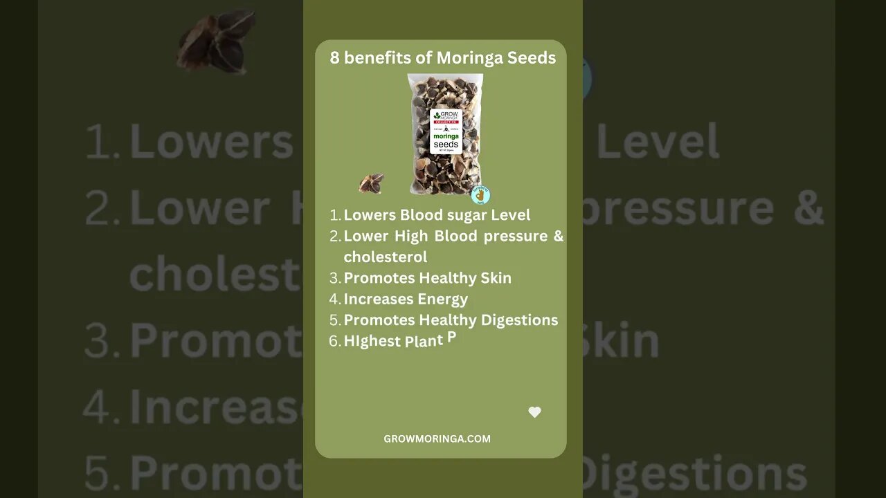Moringa Seeds